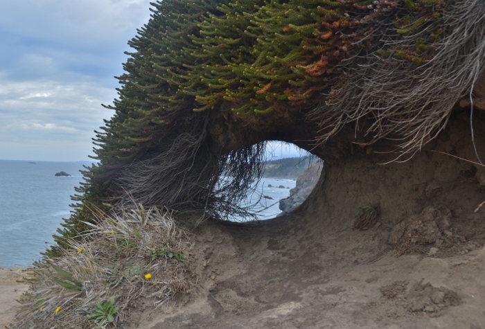Otter Point